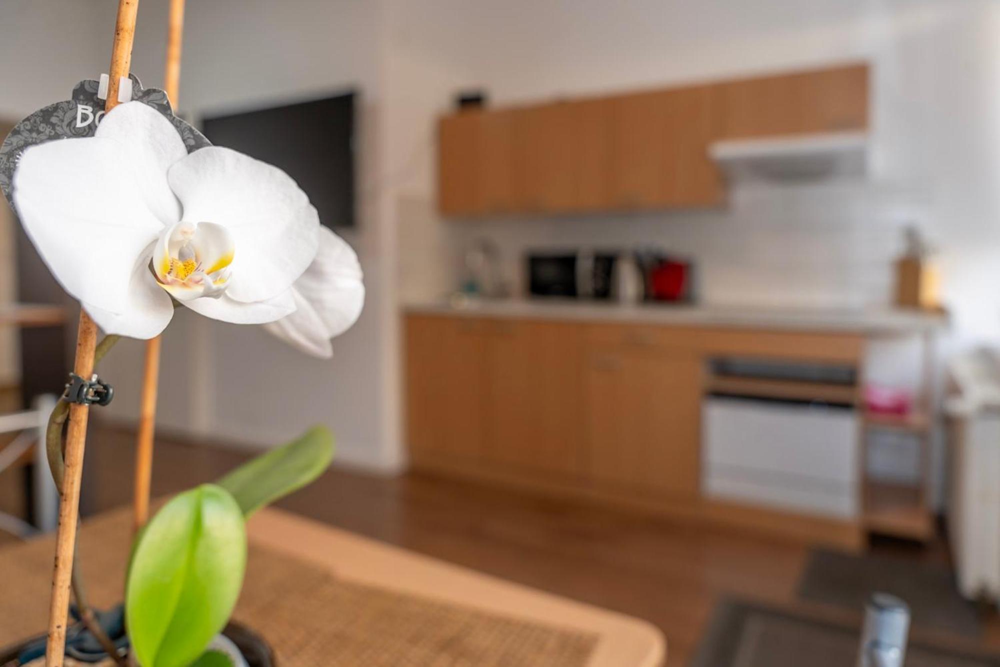 Cosy Nest - Apartment By Comfort Housing Falkensee Eksteriør billede